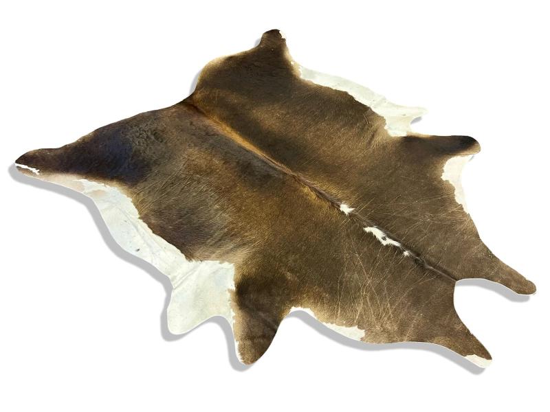 Dark brown color cowhide with white legs and neck