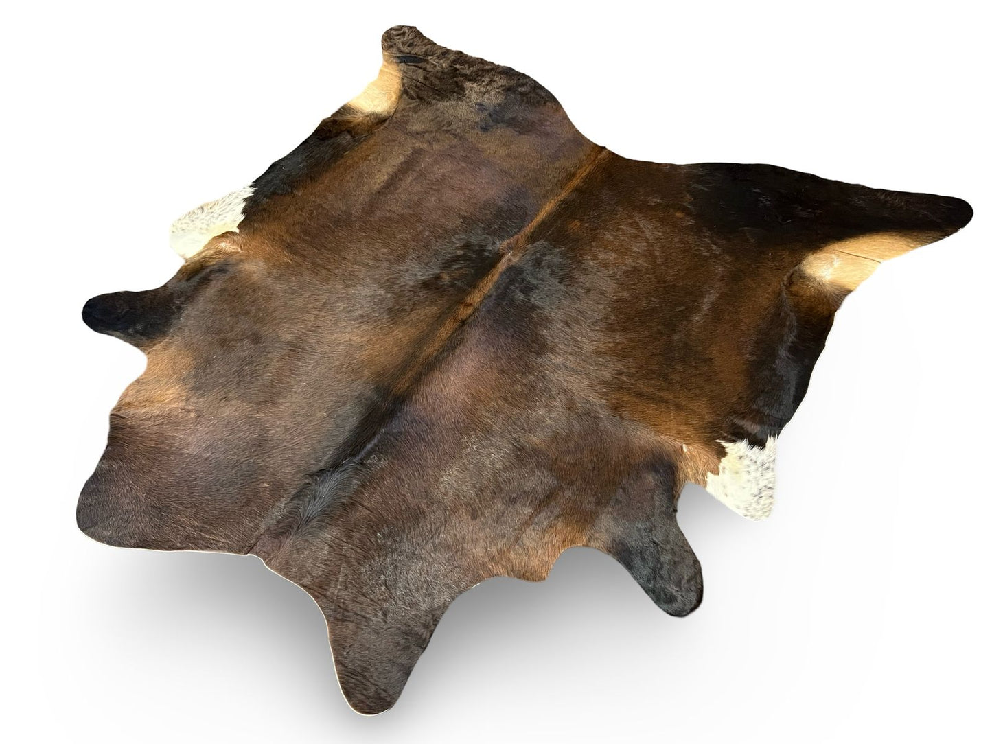 Brown and White Cowhide BRW-5591 AA