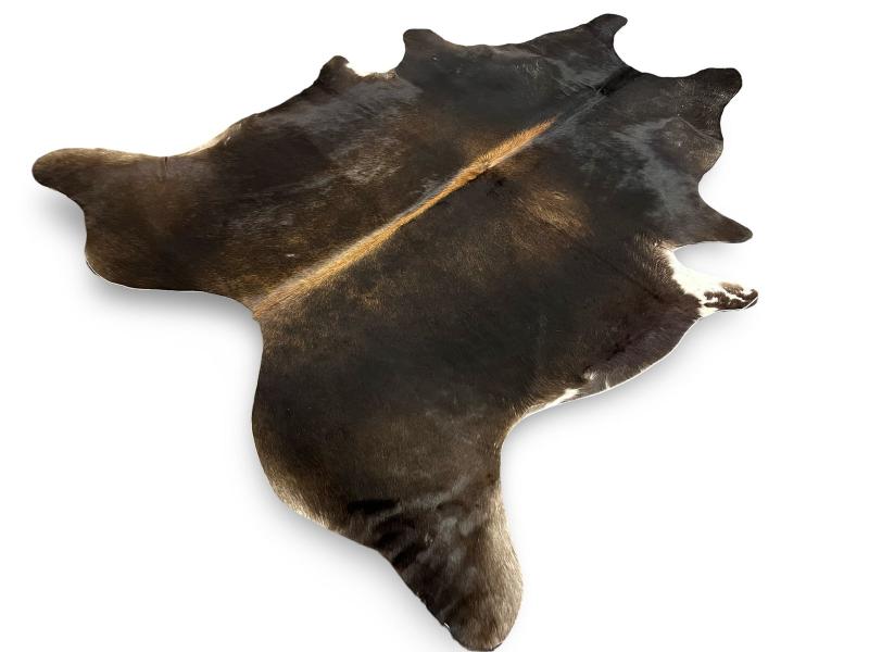 Dark dunn color cowhide with light brown spine