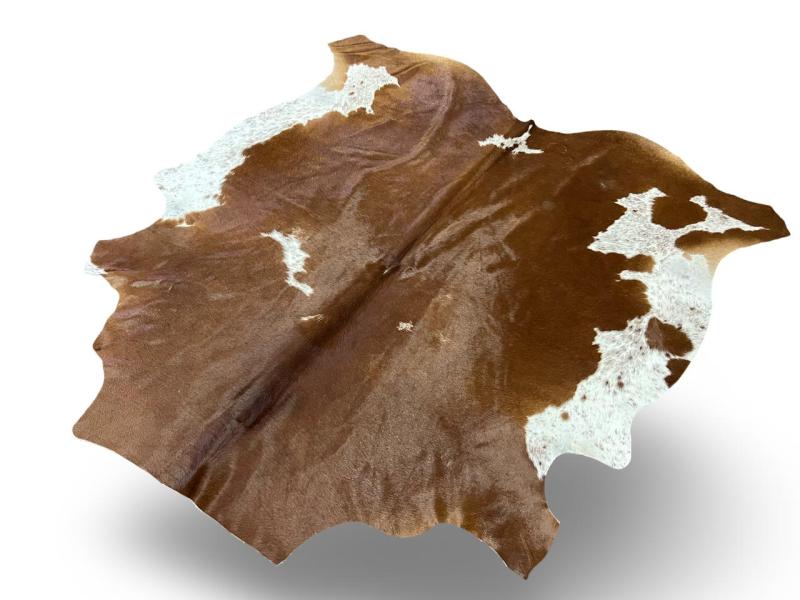 Nguni type cowhide, dark brown cowhide with white sides