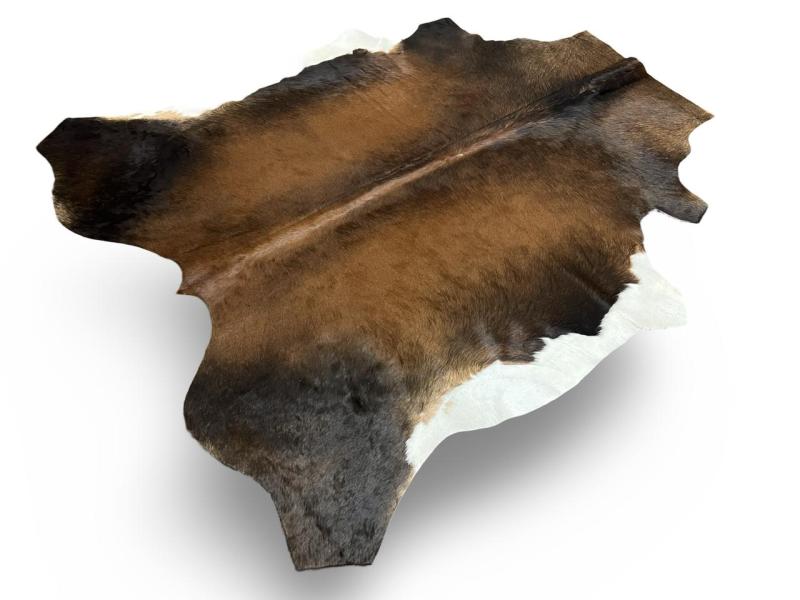 Nguni Type cowhide,Tri color, black with brown centre and white ends
