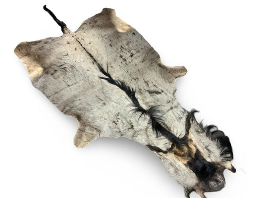 Black and grey wildebeest skin
