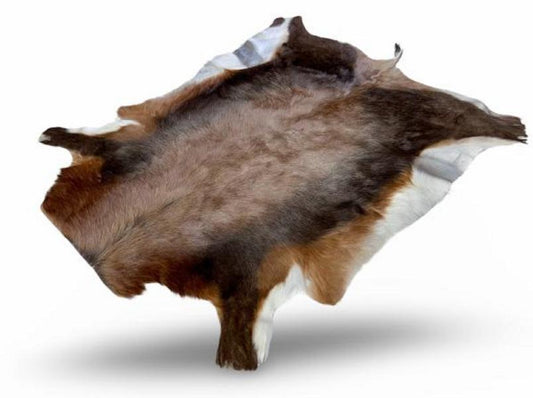 Natural blessbuck skin