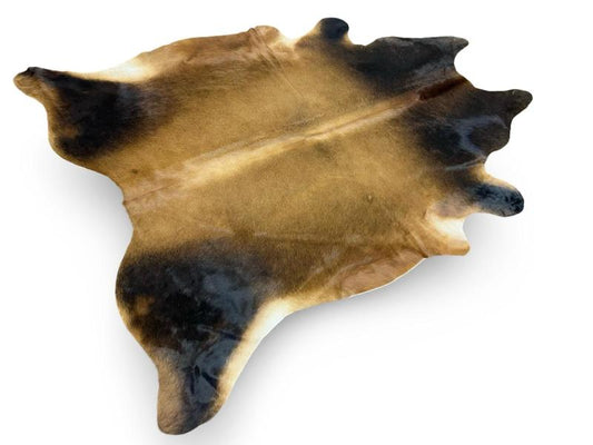 Light brown cowhide with dark brown neck and back legs