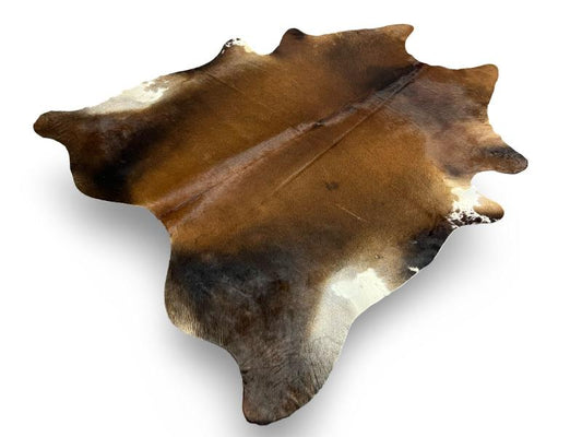 Dark brown color cowhide with a lighter brown centre and white under legs