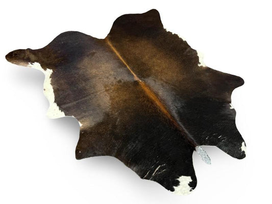Dark brown cowhide with white patches on ends and light brown spine