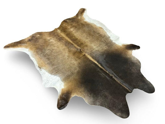 Dark brown neck with light brown sides and centre and white ends