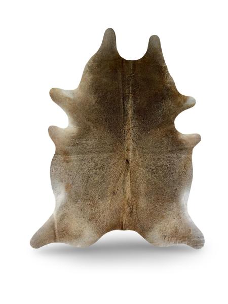 Light dunn cowhide with darker neck
