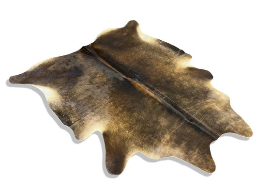 Dark dunn color cowhide with lighter brown edges and white under legs