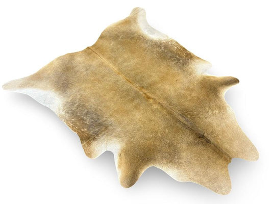 Light dunn color cowhide with darker shade on ends neck