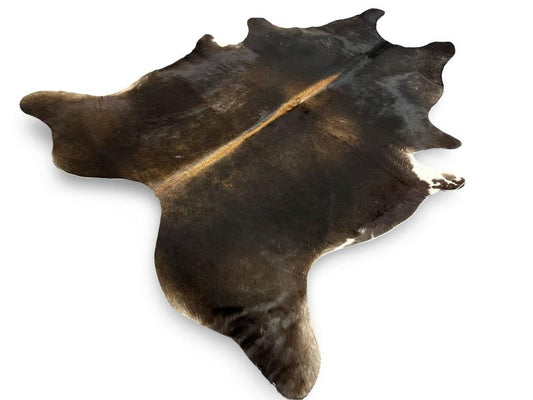 Dark dunn color cowhide with light brown spine