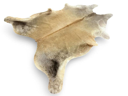 Light dunn color cowhide with dark dunn back legs and spine
