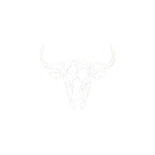 Nguni Hides