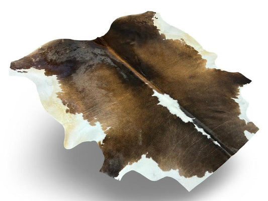 Nguni type cowhide,dark dunn with light brown centre and white on spine and sides