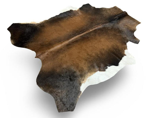 Nguni Type cowhide,Tri color, black with brown centre and white ends