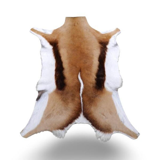 Genuine Natural Springbok Skin 1st Grade