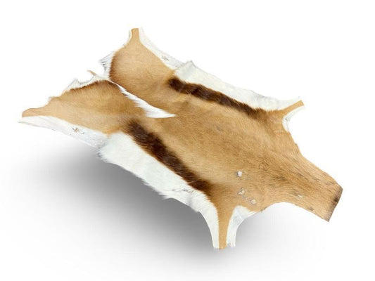 Genuine Springbok Skin 2nd Grade